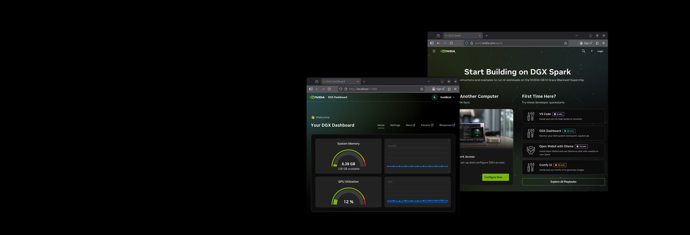 El panel de NVIDIA para gestionar modelos, memoria y GPU corre directo en el Spark.